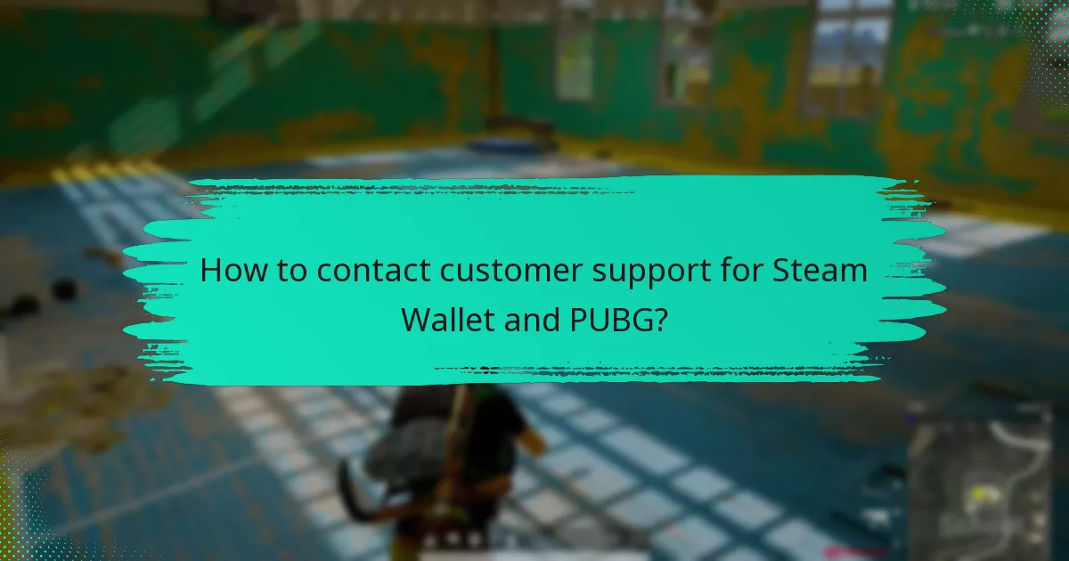 How to troubleshoot issues with Steam Wallet in PUBG?